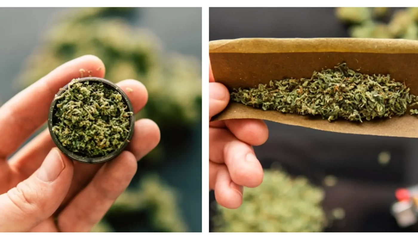 How To Roll a Blunt: Easy Step-By-Step Guide 2 How To Roll a Blunt The Complete Canada-Focused Guide for Beginners & Pros