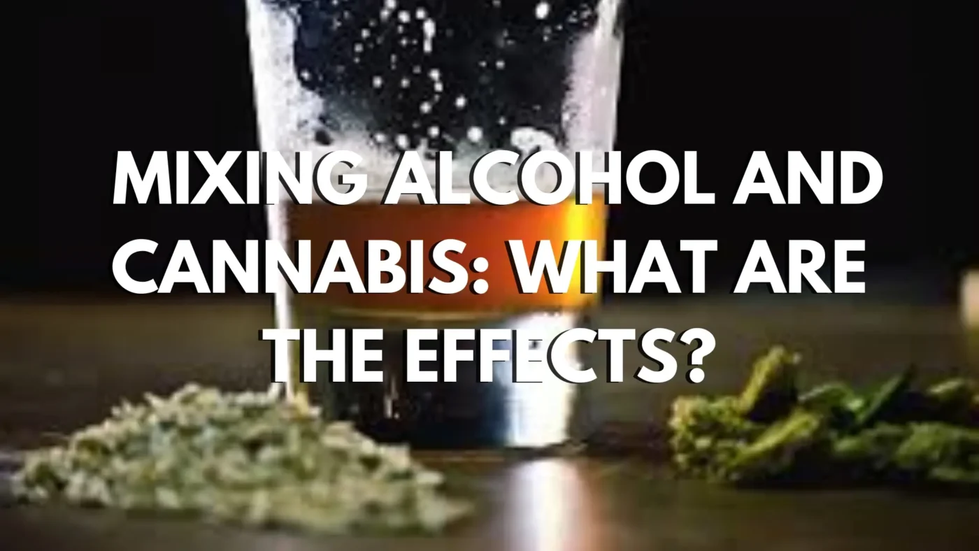 Mixing Alcohol and Cannabis: What Are the Effects? 7 Mixing Alcohol and Cannabis What Are the Effects