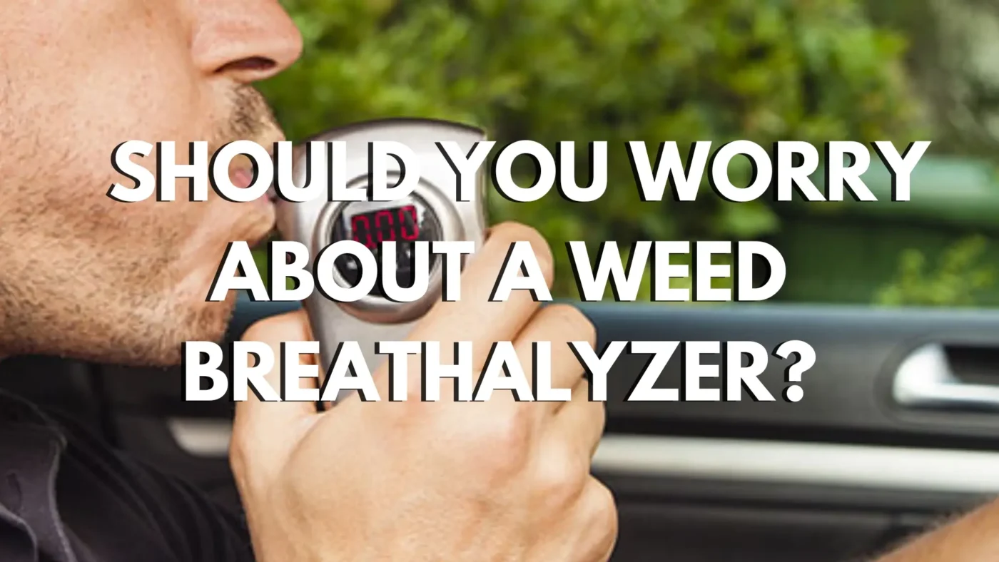 Should You Worry About a Weed Breathalyzer? 9 Should You Worry About a Weed Breathalyzer