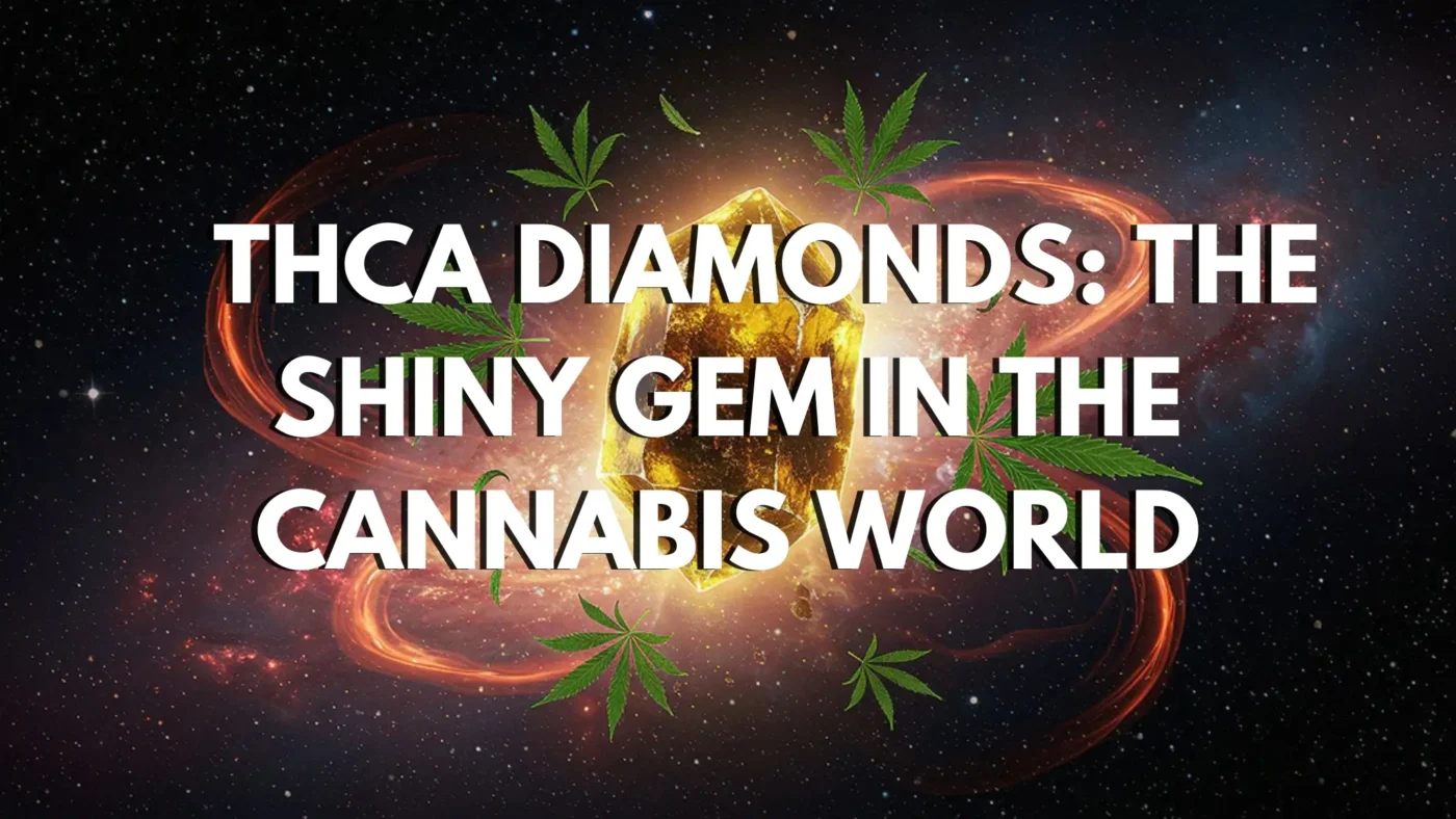 THCA Diamonds: The Shiny Gem in the Cannabis World 6 THCA-Diamonds-The-Shiny-Gem-in-the-Cannabis-World
