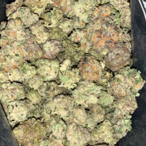 AAA+ BUBBLEGUM GLUE MEDIUMS