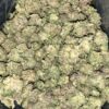 Wholesale 10 AAAA COASTAL PINK SMALLS BY GAS GOONZ