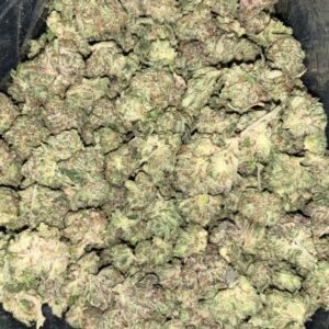 AAAA COASTAL PINK SMALLS BY GAS GOONZ