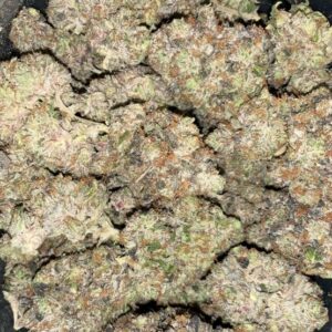 AAAA STAR MASTER KUSH BY JET FUEL FARMS