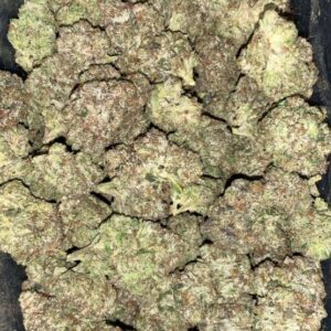 AAAA+ TUNA ROCK BY GAS GOONZ