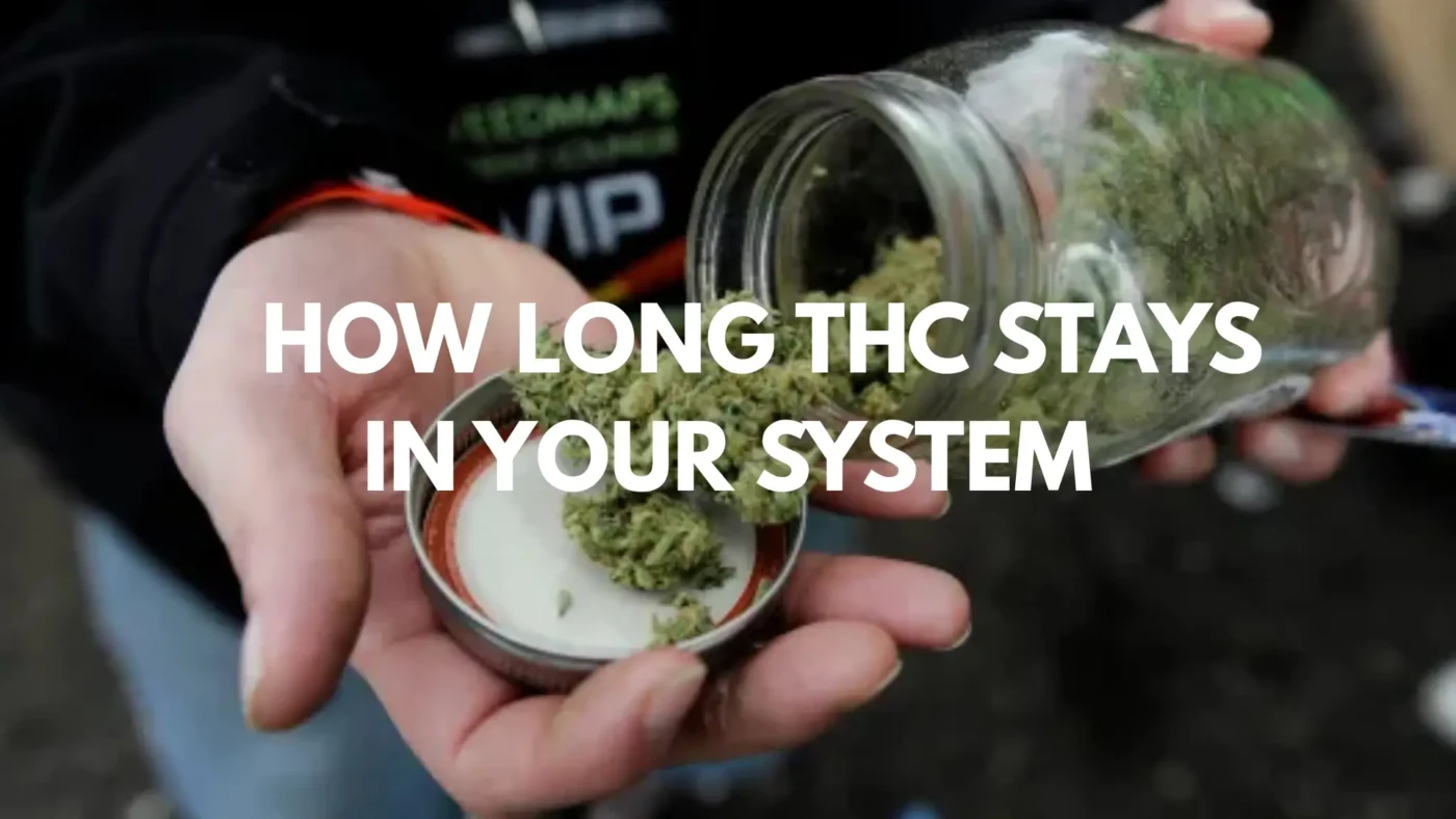 How Long THC Stays in Your System 2 How Long THC Stays in Your System