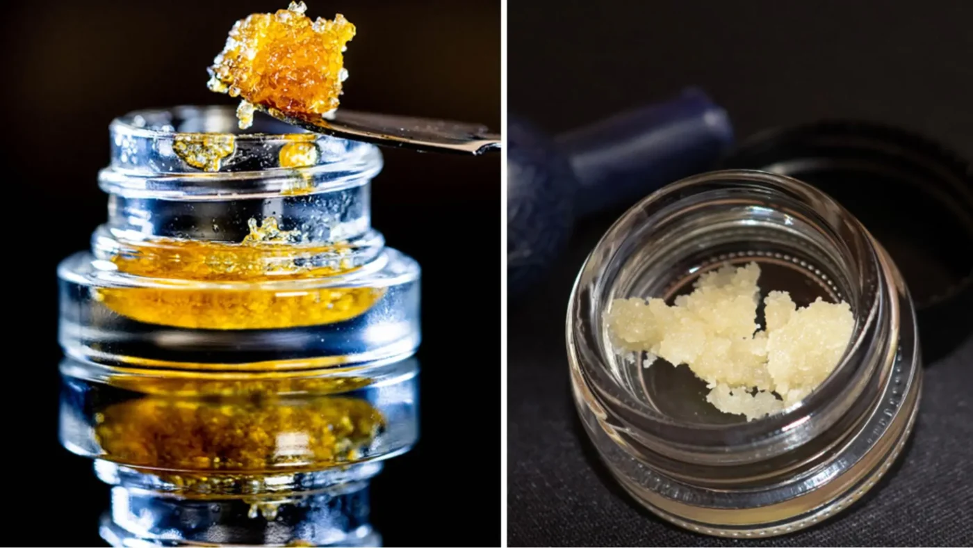 Live Resin vs Live Rosin 2 Live Resin vs Live Rosin: What’s the Difference?