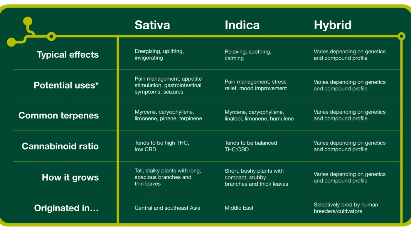 Sativa vs Indica vs Hybrid: Differences, Effects & What Matters Most 2 Sativa vs Indica vs Hybrid What the Labels Really Mean (And How to Choose Smarter in Canada)