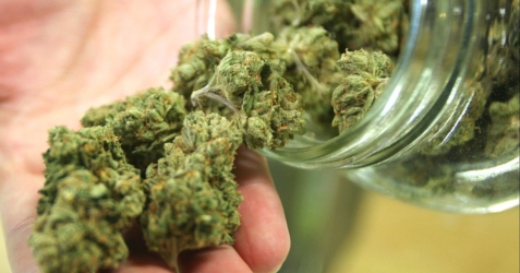 CANNABIS HUB BEST SELLERS