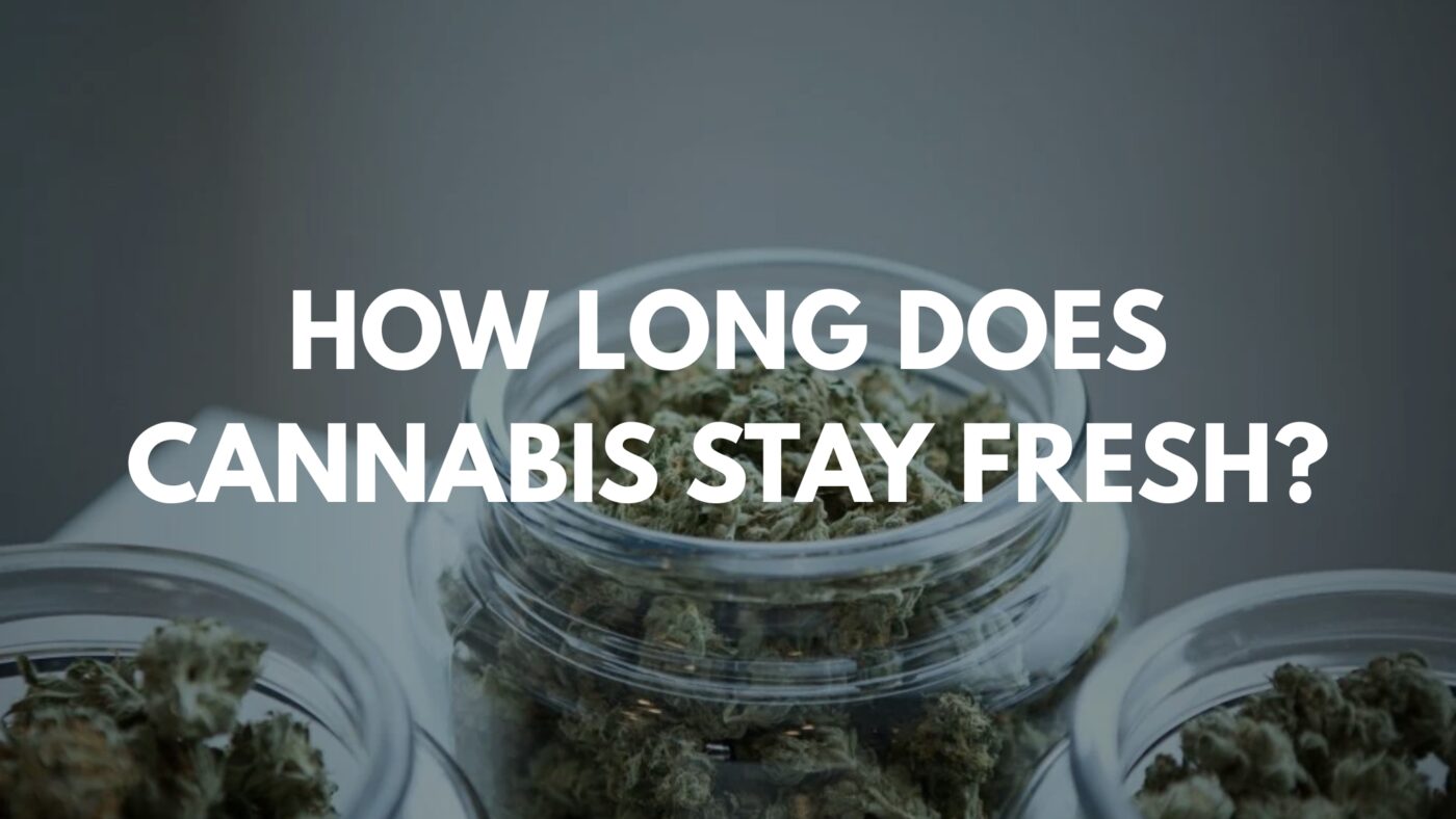 How Long Does Cannabis Stay Fresh? Shelf Life of Flower, Edibles & Concentrates 6 How Long Does Cannabis Stay Fresh? Shelf Life of Flower, Edibles & Concentrates
