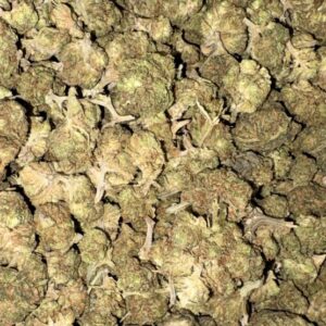 AAA BLUEBERRY BY BUDGET BUDS