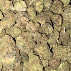AAA NORTH INDIAN BY BUDGET BUDS