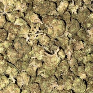 AAA PURPLE RAINBOW BY BUDGET BUDS