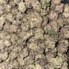 Wholesale 3 AAAA BLUEBERRY SMALLS BY JET FUEL FARMS