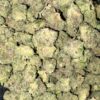 Wholesale 13 AAAA DEATH TUNA MEDIUMS BY GAS GOONZ