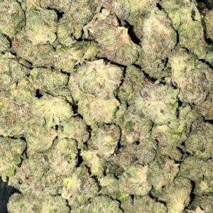 AAAA DEATH TUNA MEDIUMS BY GAS GOONZ