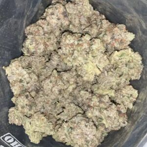 AAAA+ GUCCI PINK BY GAS GOONZ