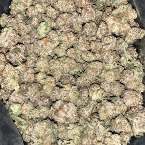 AAAA+ INDIGO GRAPES MEDIUMS BY EXO FUEL