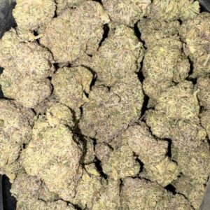 AAAA+ KHALIFA MINTZ BY EXO FUEL