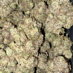 AAAA+ LAVA ROCKS BY GAS GOONZ
