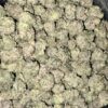Wholesale 8 AAAA OREO SMALLS