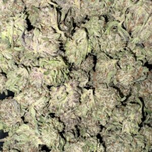 AAAA PINK DEATH MEDIUMS BY GAS GOONZ