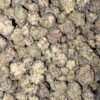 Wholesale 12 AAAA PURPLE HAZE MEDIUMS