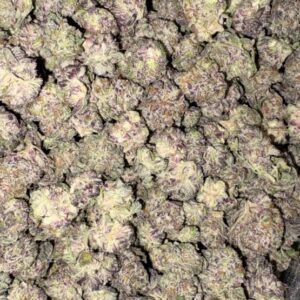AAAA PURPLE HAZE MEDIUMS