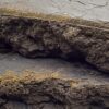 Wholesale 17 KASHMIR GOLD RESERVE HASH BY PLATINUM PRESS