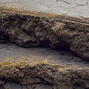 KASHMIR GOLD RESERVE HASH BY PLATINUM PRESS