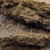 Wholesale 15 MAISON V RESERVE HASH BY PLATINUM PRESS