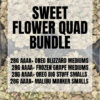 Wholesale 19 SWEET FLOWER QUAD BUNDLE