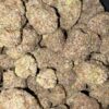 Wholesale 19 AAAA GARY PAYTON X JEALOUSY BY GREEN VALLEY
