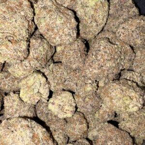 AAAA GARY PAYTON X JEALOUSY BY GREEN VALLEY