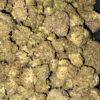 Wholesale 11 AAA RUNTZ MEDIUMS