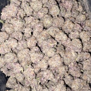 AAAA+ BLACKBERRY CHEESE CAKE MEDIUMS