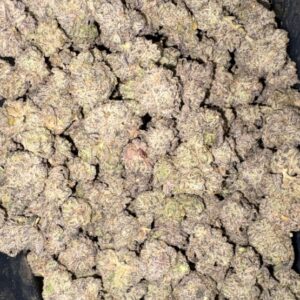 AAAA+ FROSTED MINTZ MEDIUMS BY EXO FUEL