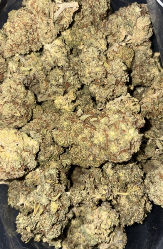AA COLOMBIAN GOLD 1 AA COLOMBIAN GOLD