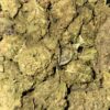 Wholesale 18 AA SKYWALKER