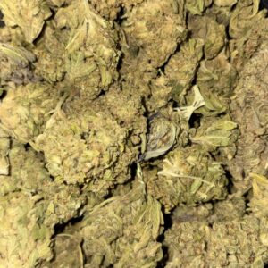AA SKYWALKER