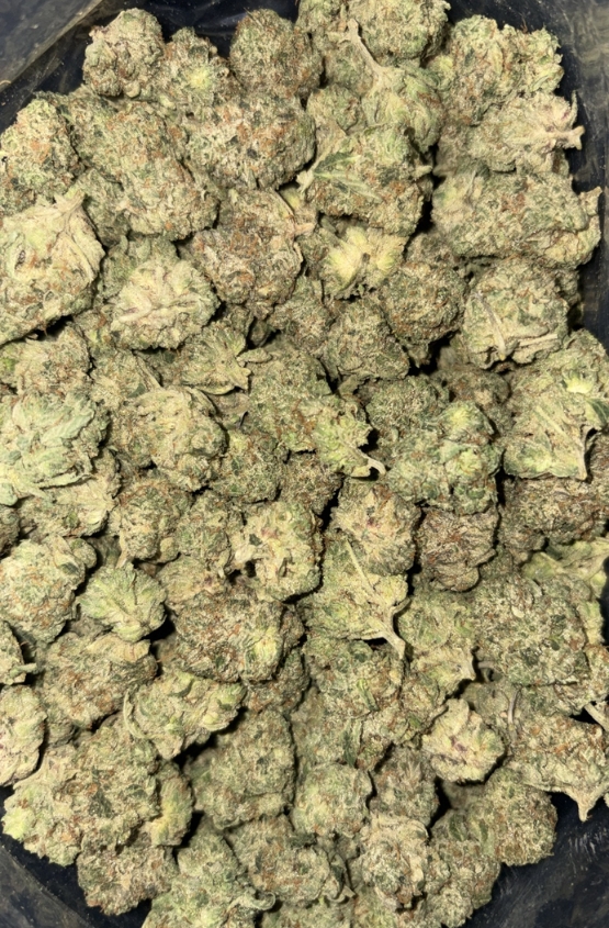 AAA+ CHEMDAWG MEDIUMS 1 AAA+ CHEMDAWG MEDIUMS
