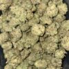 Wholesale 4 AAA+ GRAND MASTER KUSH ULTRA MEDIUMS BY JET FUEL FARMS