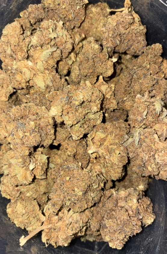 AAA MIDNIGHT BUBBA 1 AAA MIDNIGHT BUBBA