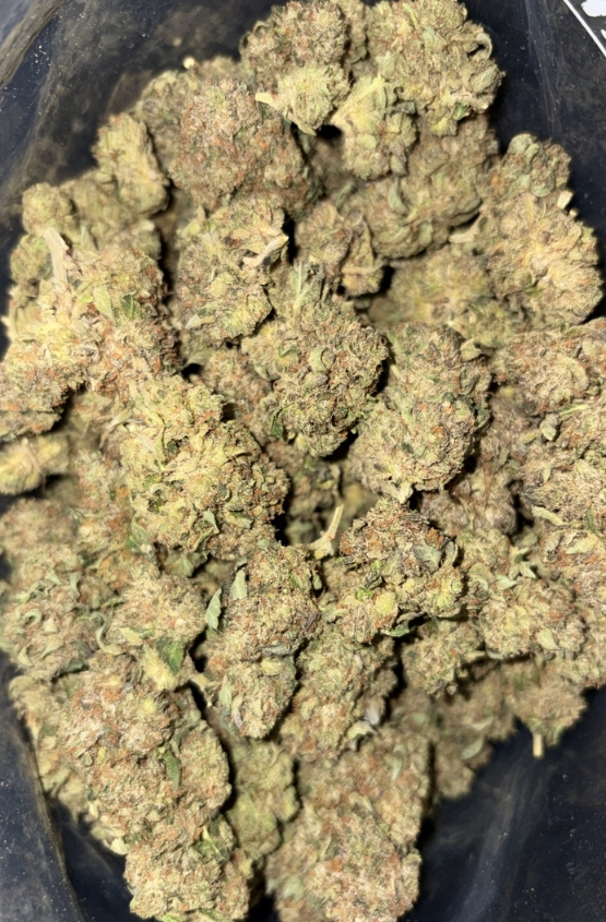 AAA+ ROCKSTAR KUSH 1 AAA+ ROCKSTAR KUSH