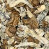 Wholesale 5 AAAA+ BLUEY VUITTON MAGIC MUSHROOMS