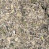 Wholesale 13 AAAA CARIBBEAN BREEZE SHAKE