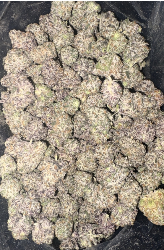 AAAA+ FRUITY PEBBLES OG MEDIUMS BY GREEN VALLEY 1 AAAA+ FRUITY PEBBLES OG MEDIUMS BY GREEN VALLEY