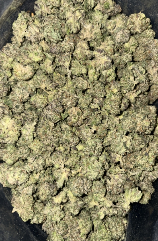 AAAA GORILLA GLUE SMALLS BY FUEL HOUSE 1 AAAA GORILLA GLUE SMALLS BY FUEL HOUSE