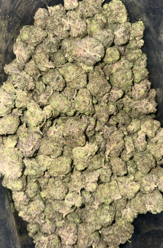 AAAA+ GUMMY BUNZ MEDIUMS 1 AAAA+ GUMMY BUNZ MEDIUMS