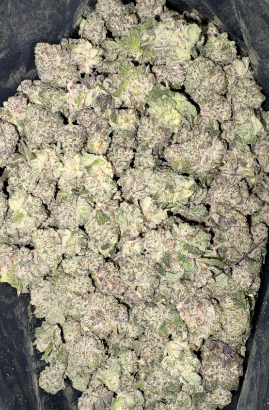 AAAA+ PURPLE GELATO MEDIUMS BY EXO FUEL 1 AAAA+ PURPLE GELATO MEDIUMS BY EXO FUEL